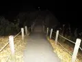 佐倉城址公園の写真_107185
