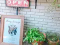 【閉業】キング・ジョージ（KING GEORGE）の写真_107284