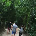 古宇利島の写真_107430