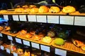 ロータスバゲット （Lotus baguette）の写真_107622