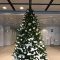 新宿モノリスの写真_107724