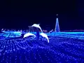 京都イルミエールの写真_107783
