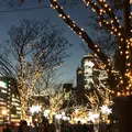 大阪市役所（ 大阪市役所本庁舎）の写真_107830