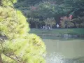 小石川後楽園の写真_108096