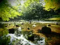 小石川後楽園の写真_108098