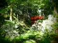 小石川後楽園の写真_108099