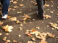 都立林試の森公園の写真_108109