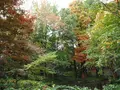 都立林試の森公園の写真_108115