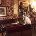 カフェアルルの写真_108619