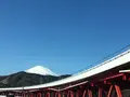 東名高速道路の写真_108675