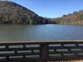 宝ヶ池公園の写真_108833