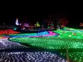 東京ドイツ村の写真_108965