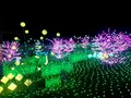 東京ドイツ村の写真_108966