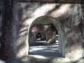 南禅寺の写真_108976