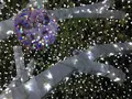 あしかがフラワーパークの写真_108990