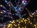 あしかがフラワーパークの写真_108991