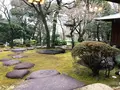 旧朝倉家住宅の写真_109232