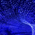 東武ワールドスクウェアの写真_109341