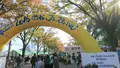 代々木公園の写真_109373