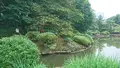 新宿御苑の写真_109376