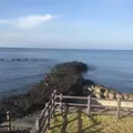 大島温泉　元町浜の湯の写真_109478