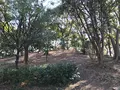 茶臼山（天王寺公園）の写真_109559