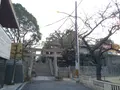 三光神社の写真_109570