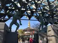 一心寺の写真_109572