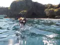 青の洞窟の写真_109645