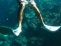 青の洞窟の写真_109646