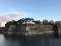 大阪城の写真_109691
