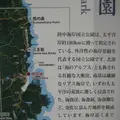 浄土ヶ浜の写真_109732