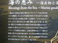 浄土ヶ浜の写真_109735