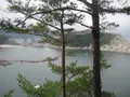 浄土ヶ浜の写真_109742