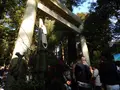 椿大神社の写真_109913