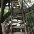 なんじゃもんじゃカフェの写真_109965