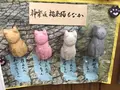 梅花亭 神楽坂本店の写真_109992