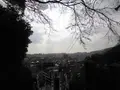 祇園神社の写真_110166