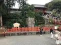 鶴岡八幡宮の写真_110244