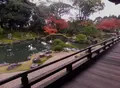 醍醐寺三宝院の写真_110253