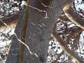 福浦橋の写真_110288