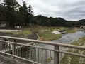 井伊谷宮の写真_110317