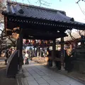 梅照院（新井薬師）の写真_110363