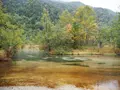 上高地の写真_110373