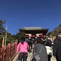 鶴岡八幡宮の写真_110426