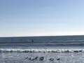 由比ガ浜海水浴場の写真_110428