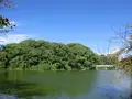 茶臼山（天王寺公園）の写真_110579