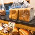 パン樹・久遠の写真_110665
