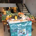 レフズ 熱海店の写真_110667