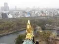 大阪城の写真_110691
